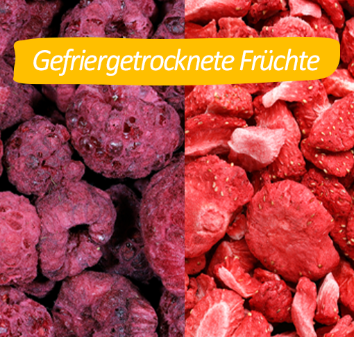 gefriergetrocknet3 abbildung von gefriergetrockneten früchten