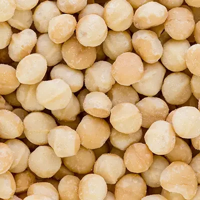 macadamia-nusskerne