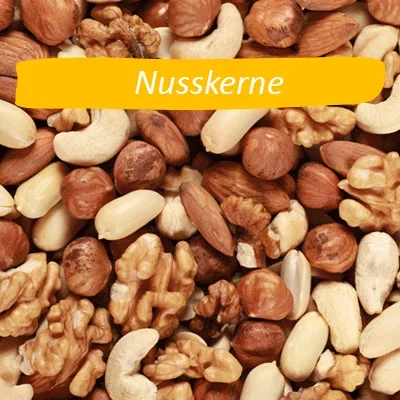 nusskerne Nusssorten wie Cashewkerne, Walnüsse, Haselnüsse und Erdnüsse