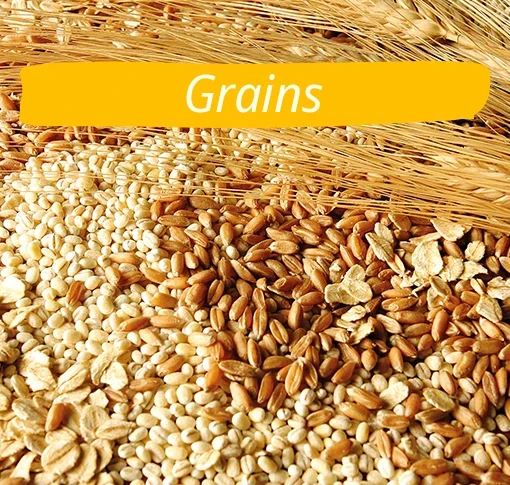 different grains in a mix