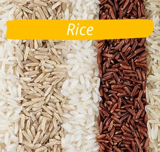 a sortiment of rice variations